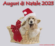 Auguri di Natale 2023 con cagnolino