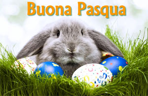 coniglio buona Pasqua